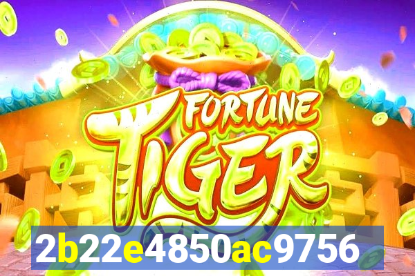 cassino online 81bet