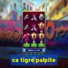 ca tigre palpite