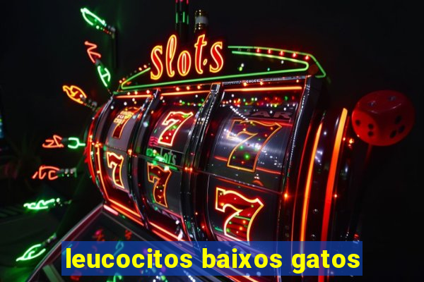 leucocitos baixos gatos