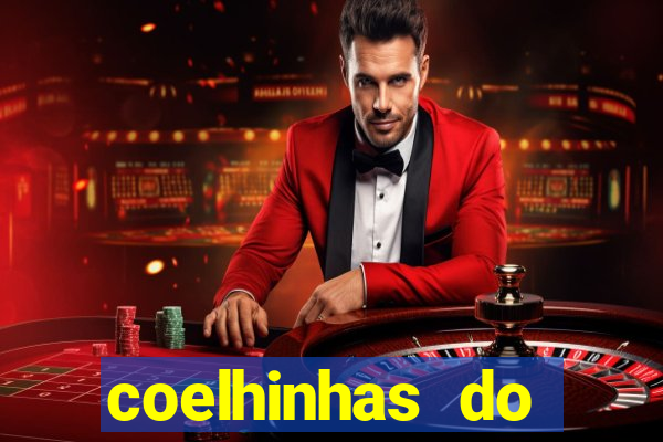 coelhinhas do brasil recife