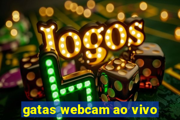 gatas webcam ao vivo