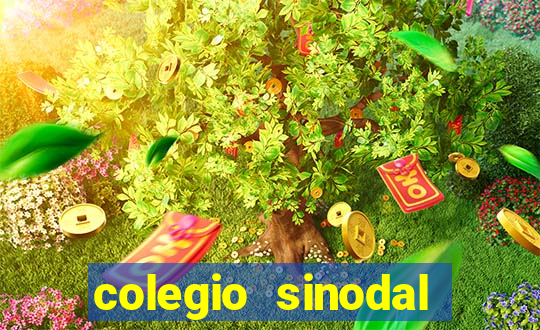 colegio sinodal salvador porto alegre