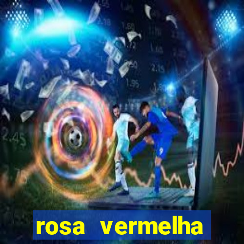 rosa vermelha (letra e cifra)