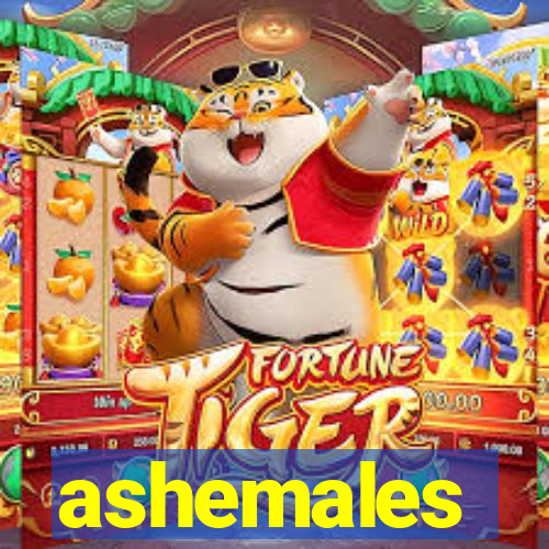 ashemales