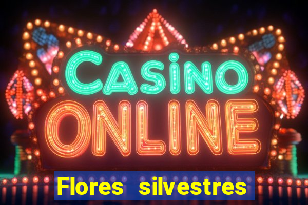 Flores silvestres brasileiras 25