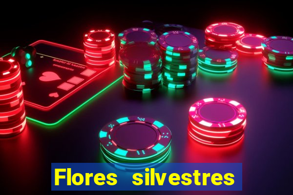 Flores silvestres brasileiras 25