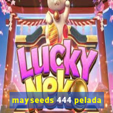 mayseeds 444 pelada