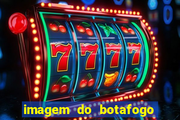 imagem do botafogo zuando o palmeiras