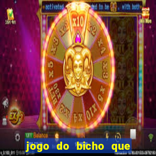 jogo do bicho que paga no pix