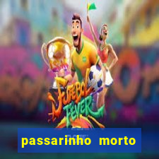passarinho morto significado espiritual