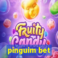 pinguim bet