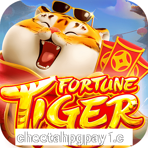 cheetahpgpay1.com