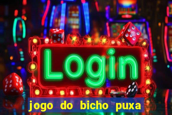 jogo do bicho puxa de dona maria