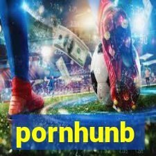 pornhunb
