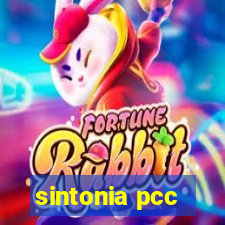 sintonia pcc