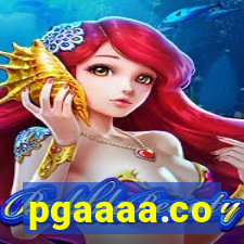 pgaaaa.co