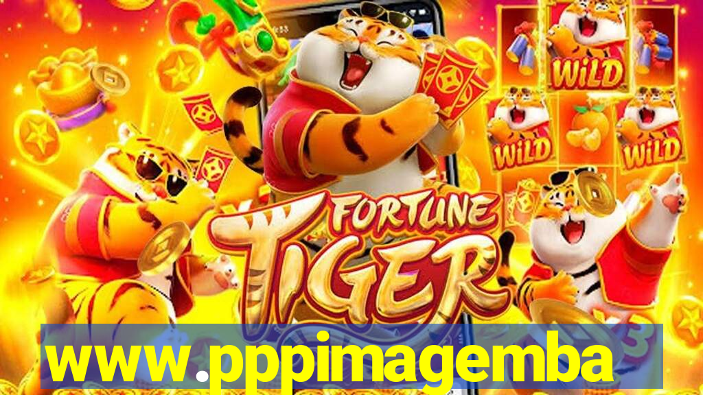 www.pppimagembahia.com.br