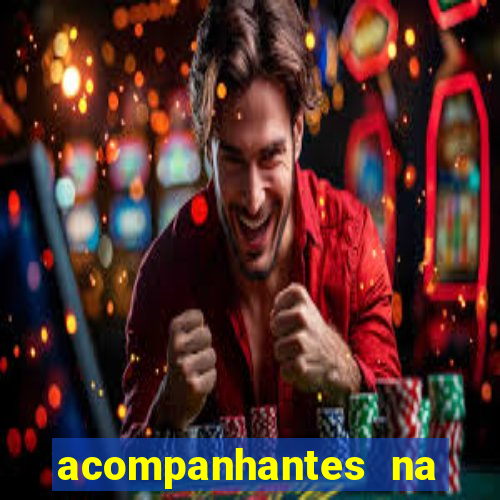 acompanhantes na vila nova cachoeirinha sp