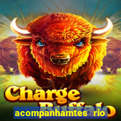 acompanhamtes rio de janeiro