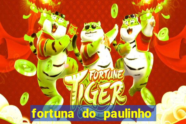 fortuna do paulinho do roupa nova