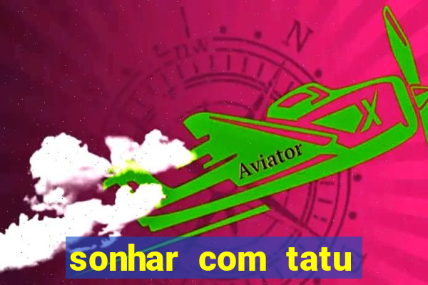sonhar com tatu jogo do bicho