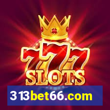 313bet66.com
