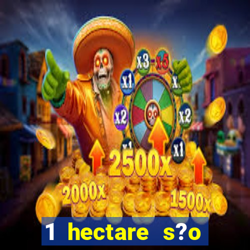 1 hectare s?o quantas tarefas na bahia