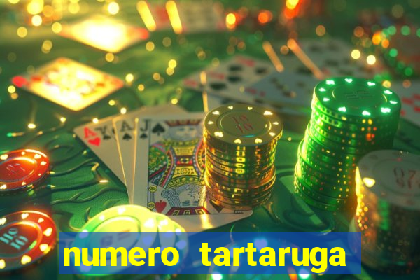 numero tartaruga jogo do bicho