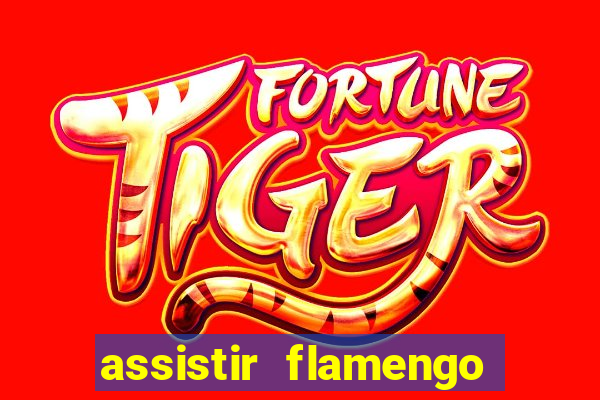 assistir flamengo futebol play hd
