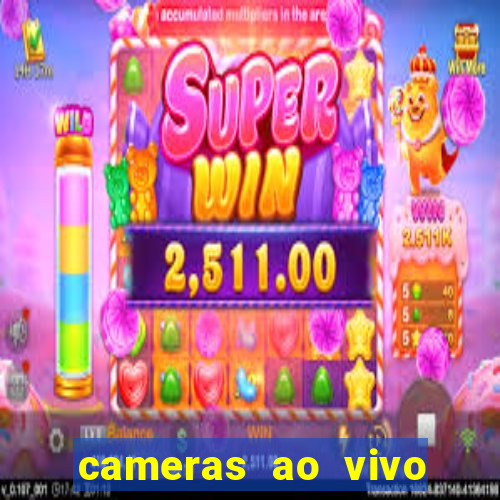 cameras ao vivo beto carrero