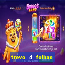 trevo 4 folhas significado espiritual