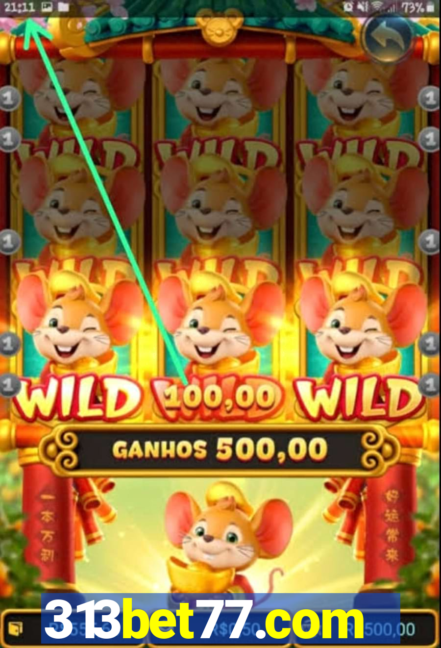 313bet77.com