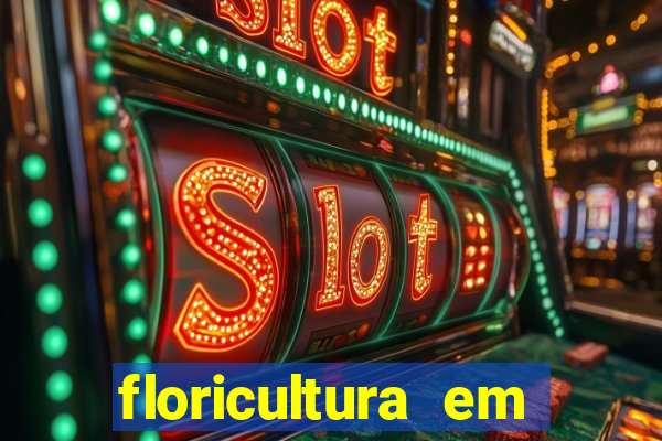 floricultura em franca sp