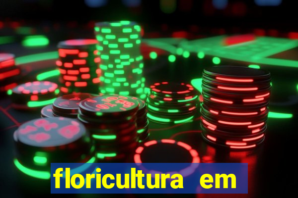 floricultura em franca sp