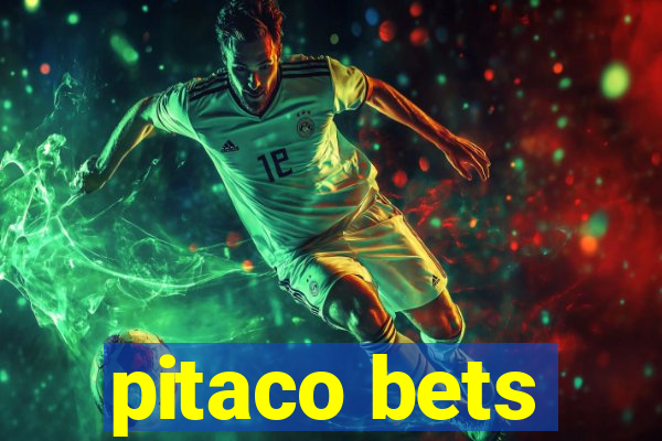 pitaco bets