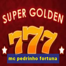 mc pedrinho fortuna