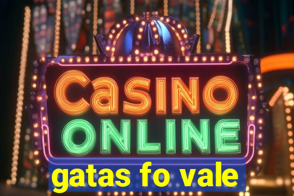 gatas fo vale