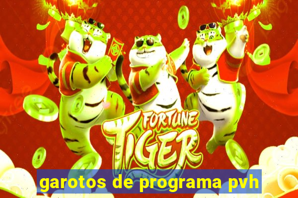 garotos de programa pvh