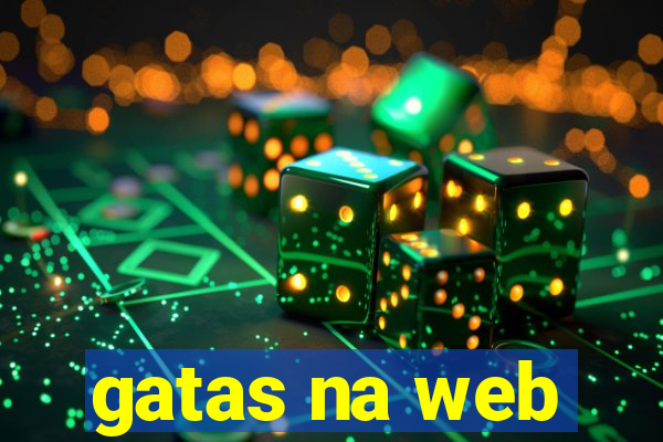 gatas na web