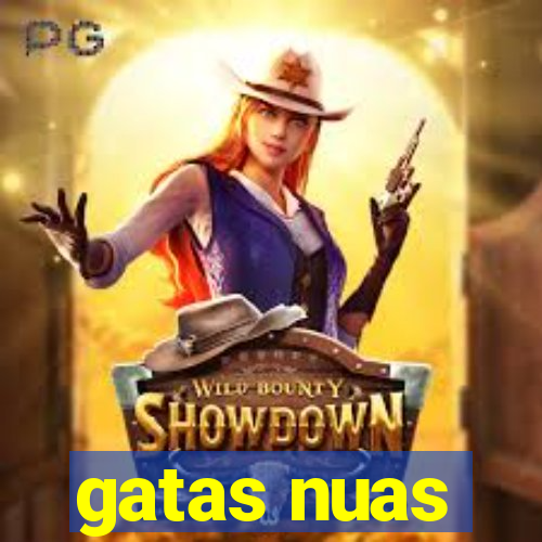 gatas nuas