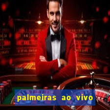 palmeiras ao vivo futebol play