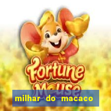 milhar do macaco que mais saem no jogo do bicho