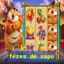 fezes de sapo transmite doença para humanos