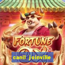 canil joinville vila nova
