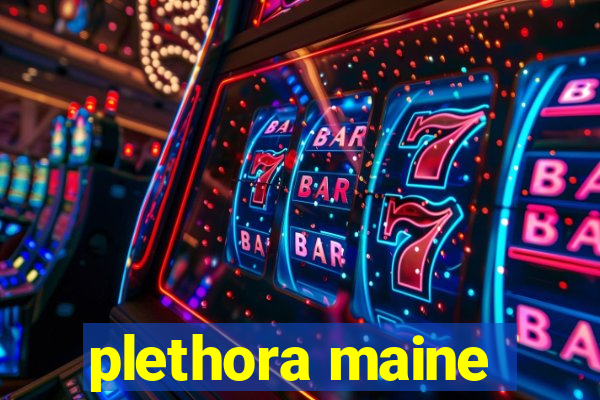 plethora maine