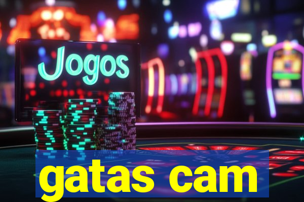 gatas cam