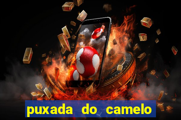 puxada do camelo no jogo do bicho