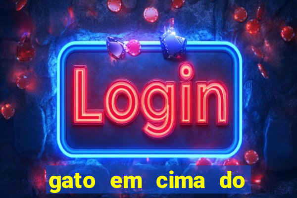 gato em cima do telhado significado espiritual