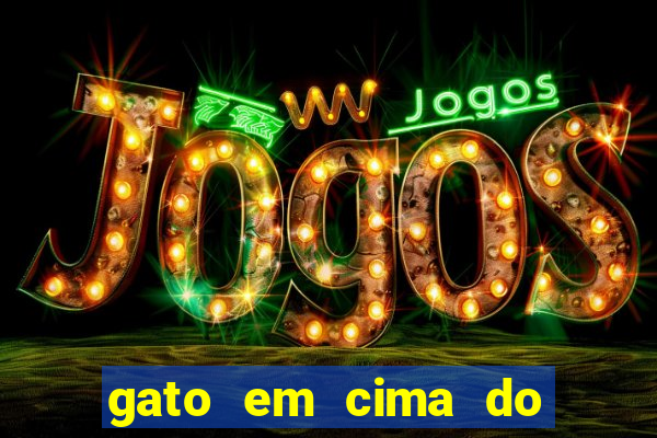 gato em cima do telhado significado espiritual