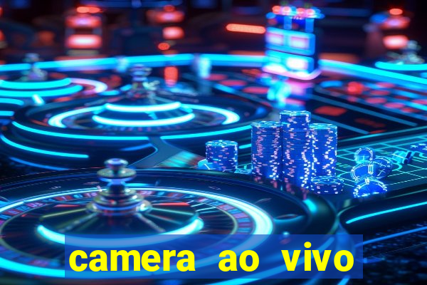 camera ao vivo beto carrero